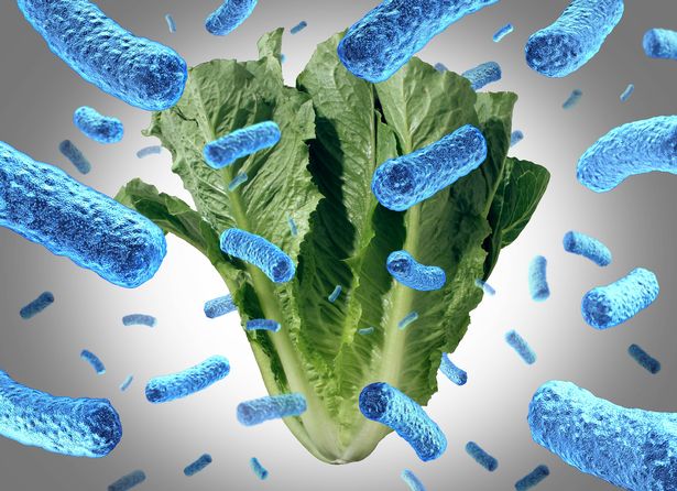 Romaine Lettuce e Coli Adagpreak Pathbreak Posting Combort كتلوث بالخضار أو خطر الصحة العامة في البكتيريا في سلطة مع عناصر التوضيح ثلاثية الأبعاد.