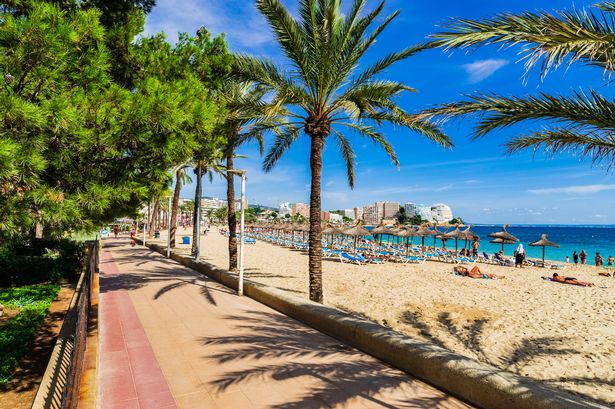 منتجع شاطئ من Magaluf في جزيرة Mallorca و Progrenade و Beach مع أشجار النخيل.