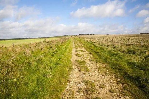 ممر مشاة Ridgeway Long Hight على Overton Hill ، Marlborough Downs ، Wiltshire ، England