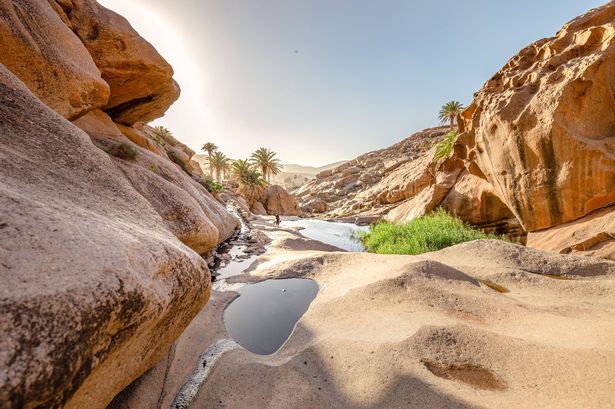أطلق عليه الرصاص في لاس بينيتاس