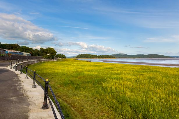 عرض على مستنقعات الملح باتجاه خليج موريكومب من Grange-Over-Sands في Cumbria ، إنجلترا.