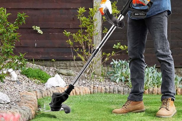 Smilovii 24V اللاسلكي Strimmer