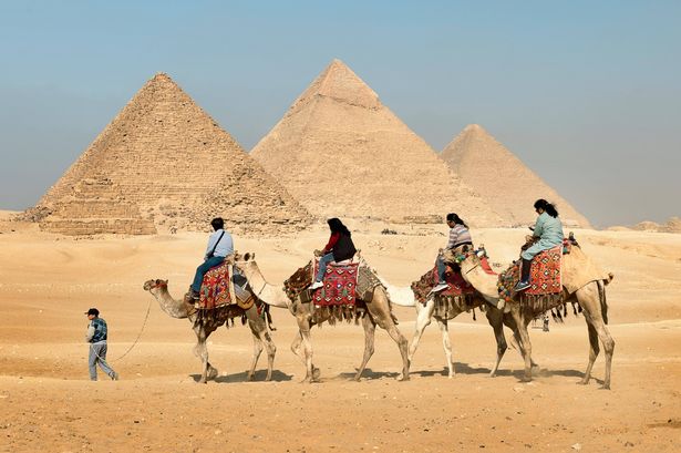 الناس على الجمال أمام الأهرامات في مصر