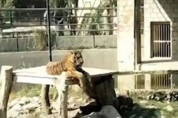 تم العثور على الجسم داخل العلبة