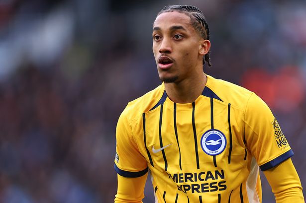 Joao Pedro من Brighton و Hove Albion خلال مباراة الدوري الممتاز بين مانشستر سيتي FC و Brighton & Hove Albion FC على ملعب الاتحاد في 15 مارس 2025 في مانشستر ، إنجلترا