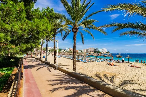 منتجع شاطئ من Magaluf في جزيرة Mallorca و Progrenade و Beach مع أشجار النخيل.