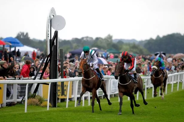 يستضيف Ripon بطاقة ستة سباق يوم الأربعاء حيث تم تخيل قيلولة Newsboy ، Flamborough ، للفوز بـ 8.52 (تصوير ريتشارد سيلرز/غيتي إيمشور)