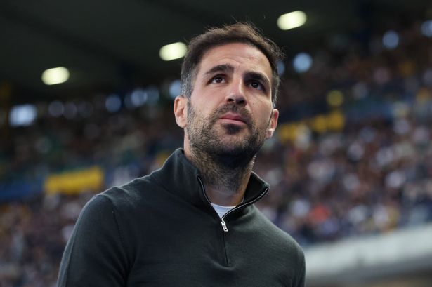 فيرونا ، إيطاليا - 18 مايو: ينظر CESC Fabregas ، مدير Como ، قبل أن ينطلق في دوري الدرجة الأولى في المباراة بين Verona و Como في Stadio Marcantonio Bentegodi في 18 مايو 2025 في فيرونا ، إيطاليا. (تصوير تيموثي روجرز/غيتي إيمايز)