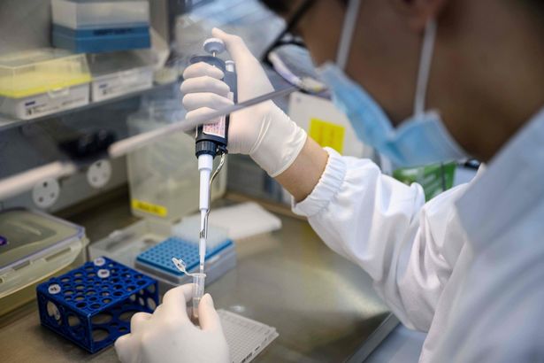 في هذه الصورة التي التقطت في 5 يونيو 2020 ، يقوم أحد الموظفين بإجراء اختبارات في مختبر Prenetics/Circle DNA الناشئ في التكنولوجيا الحيوية في هونغ كونغ. 