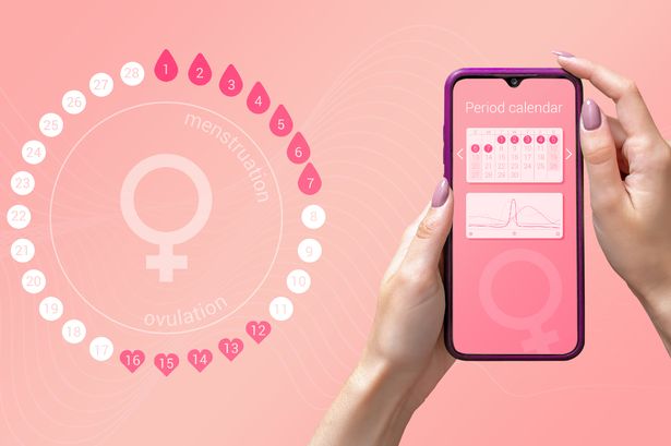 تعرضت تطبيقات تتبع الفترة لانتقاد من أجل مخاوف الخصوصية