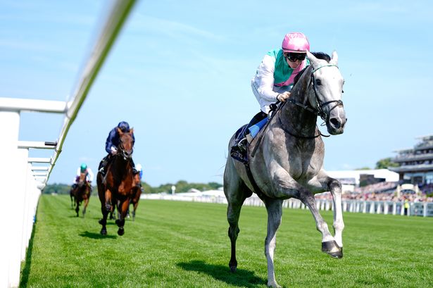 حقل الذهب: انتهى واضح في Royal Ascot