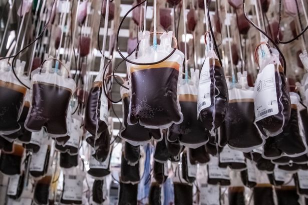 حزم الدم في NHS Blood and Transplant Plant المعالجة الرئيسية في بريستول