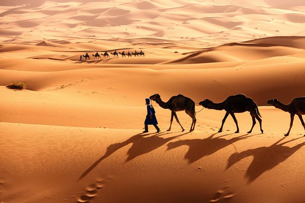Tuareg مع الجمال على الجزء الغربي من صحراء الصحراء في المغرب. صحراء الصحراء هي أكبر صحراء ساخنة في العالم.