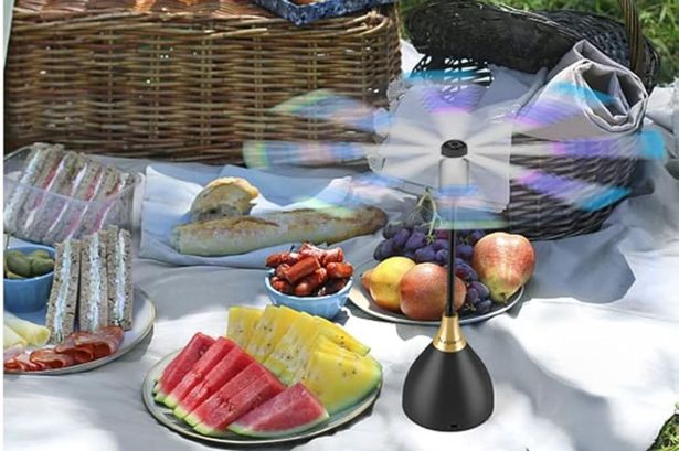 Neijiaer Fly Fans for tables