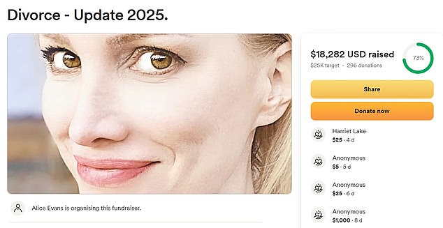 ثم ابتكرت حملة لجمع التبرعات الخاصة بها ، حيث قامت بإنشاء GoFundMe التي جمعت حتى الآن 18،828 دولارًا ، لكنها اعترفت بأنها كانت