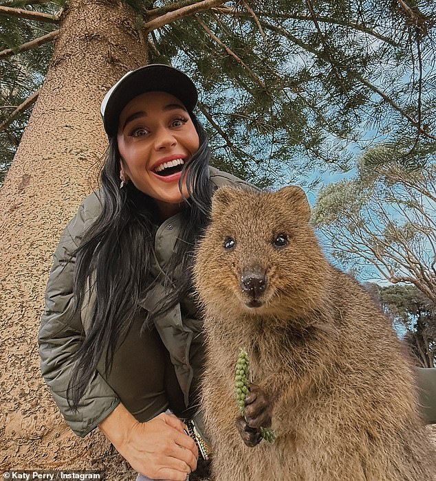 في Photodump ، شاركت كاتي مجموعة من اللقطات من وقتها لأسفل ، بما في ذلك يوم في Rottnest Island ، التي تشتهر بـ Quoakkas الودية
