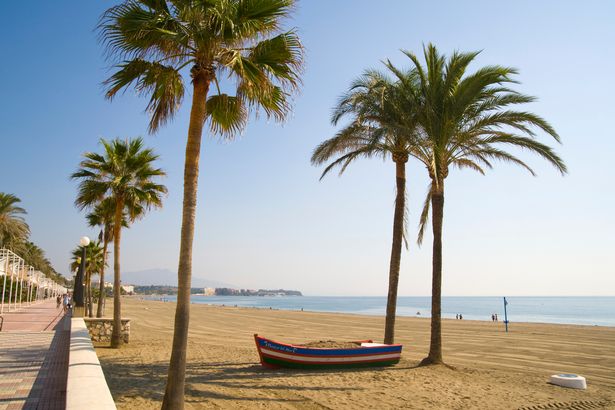 Estepona Beach على إسبانيا كوستا ديل سول مع أشجار النخيل