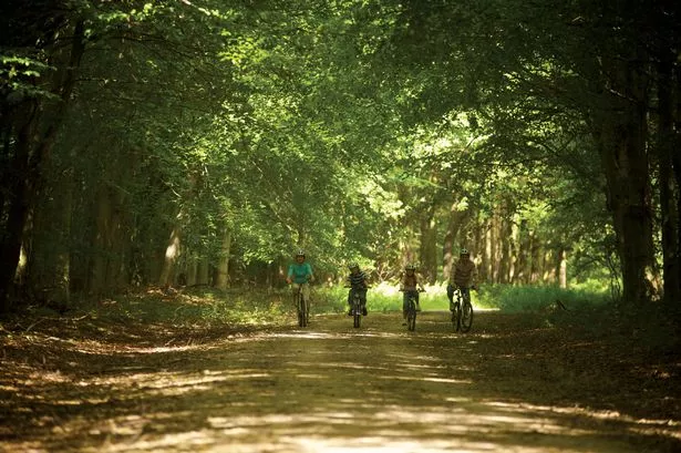 مركز باركس في غابة Elveden