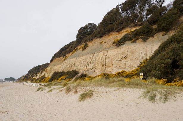 المنحدرات على طول شاطئ Highcliffe ، أسفل محمية Steamer Point الطبيعية ، Highcliffe ، Dorset ، المملكة المتحدة. (تصوير: Nik Taylor/UCG/Universal Images Group عبر Getty Images)