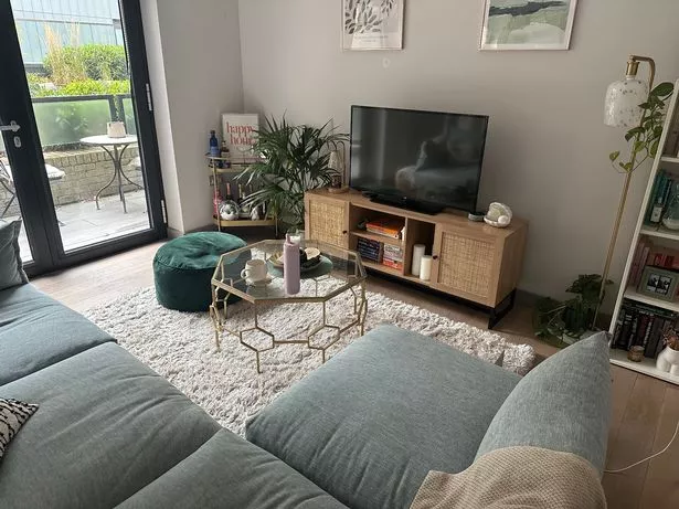 بعد ستة أشهر ، لا يزال رأس التسوق لدينا يحب اختيار الأريكة