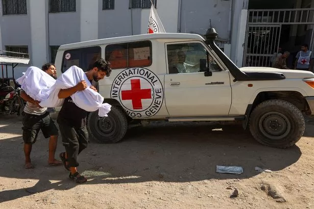 ترتفع عدد القتلى كل يوم في غزة