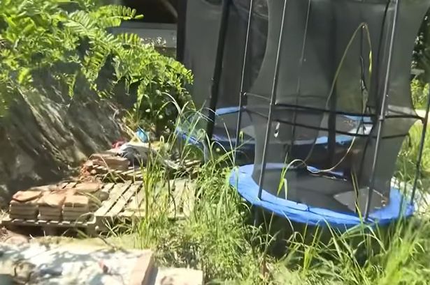 تظهر الصورة منطقة خارجية من العقار حيث عاش الأطفال ، غير مؤرخين