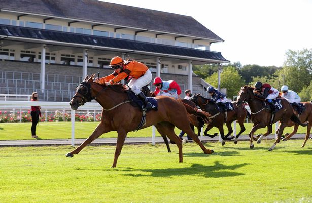 Peachey Carnehan من تأليف ريتشارد كينجسكوت الفوز بمتخصص Pete Smith Cars Coleford Handicap في Chepstow Racecourse