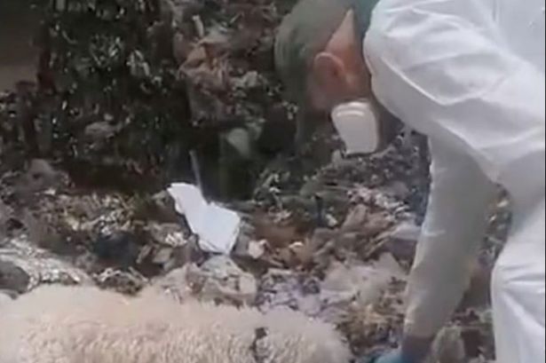 ضباط الطب الشرعي يبحثون عن القمامة