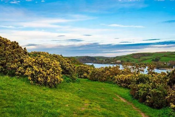 منظر لمصار Kingsbridge ، South Devon National Landscape ، المملكة المتحدة