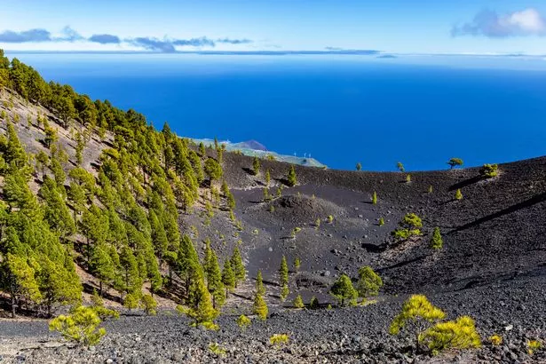 المناظر الطبيعية البركانية على طول Ruta de Los Volcanes ، Island La Palma ، جزر الكناري ، إسبانيا ، أوروبا.
