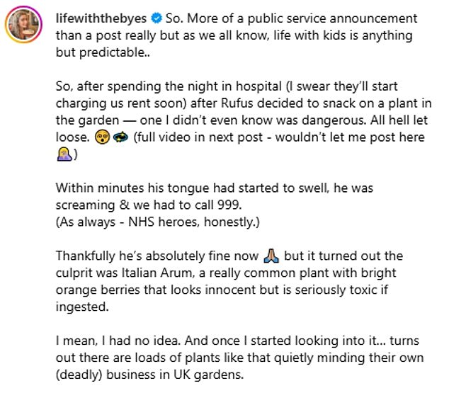 شاركت زوجة جيمس فيكتوريا المحنة المثيرة للقلق على Instagram يوم الخميس قبل إصدار تحديث يوم الجمعة لتأكيد أن Rufus على ما يرام ، بعد قضاء ليلة في المستشفى