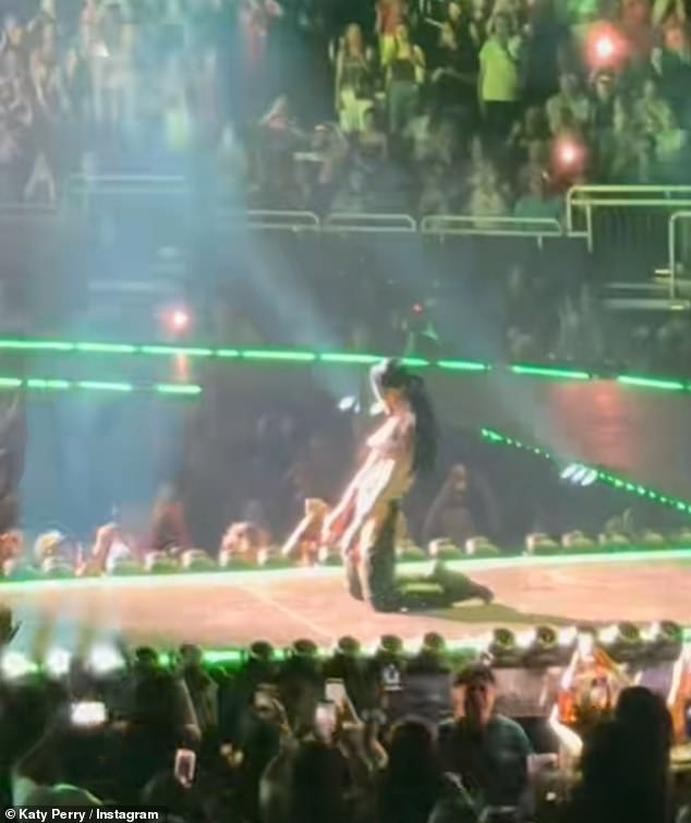 لقد ضربت جولتها مدى الحياة عددًا من العقبات ، وقد تعثرت مؤخرًا وسقطت على خشبة المسرح خلال عرض في فينيكس ، أريزونا