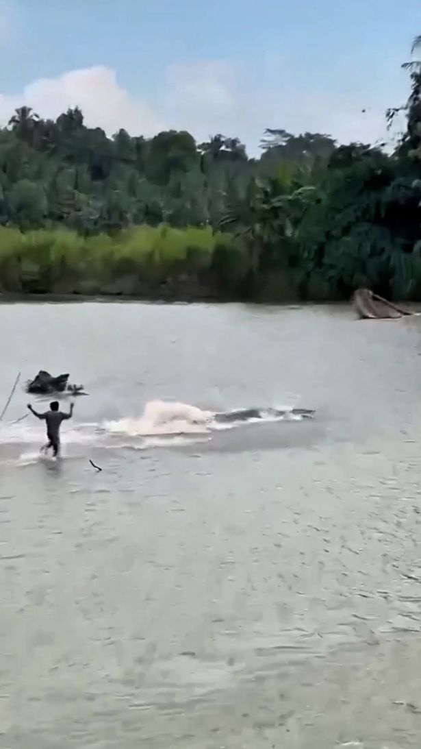 عرض التمساح جثة الرجل حول النهر