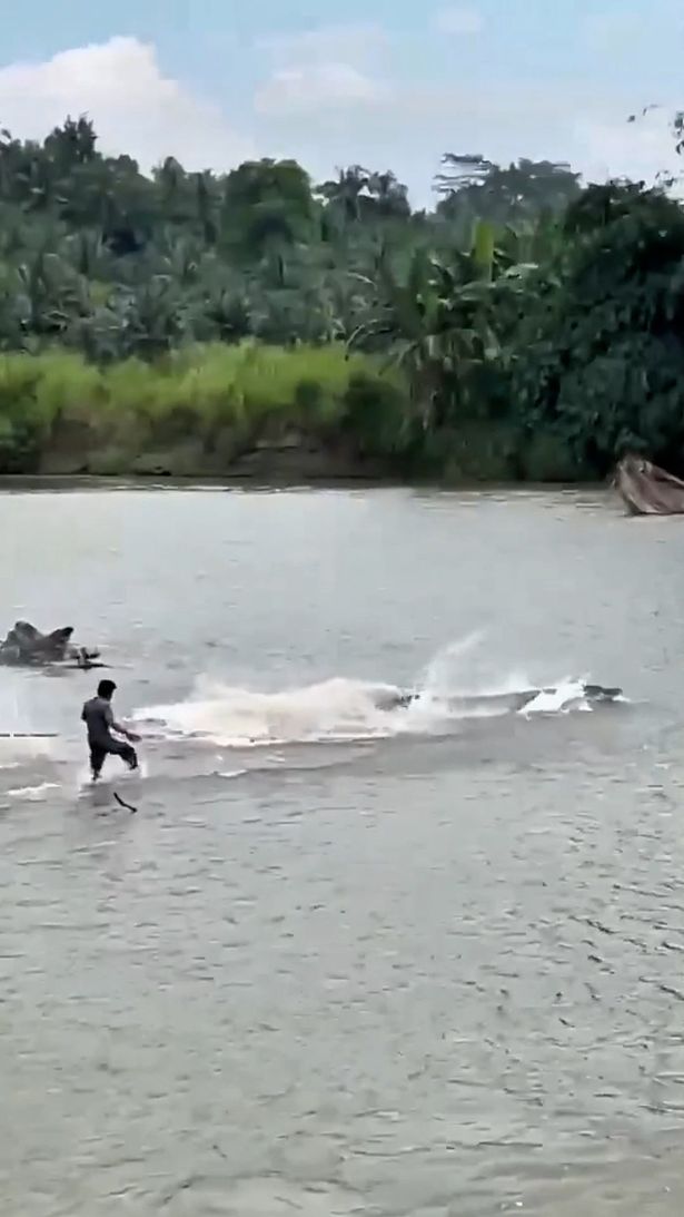 طارد السكان المحليون بعد الزواحف