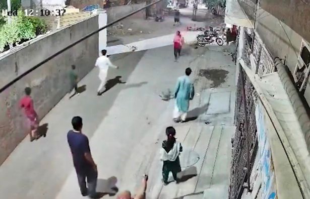 هرب الأسد يركض على الطريق بعد أن هاجم أول امرأة