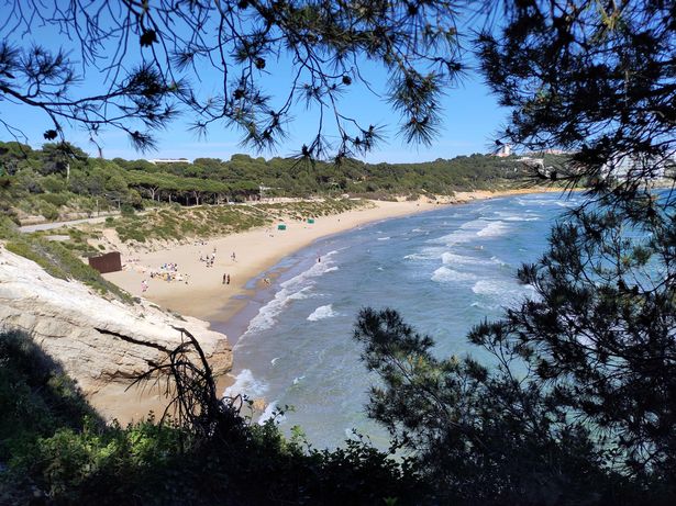 Llarga Beach حيث وقعت المأساة مساء الثلاثاء ، وهو شاطئ في غطاء محمي محاط بأشجار الصنوبر. في ذلك اليوم ، كان العلم العنبر خارجًا ، مما سمح للسباحة ولكن يقول أنه حذر. 
