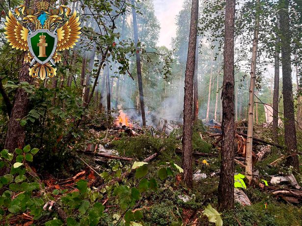 موقع تحطم AN-24 في منطقة Amur