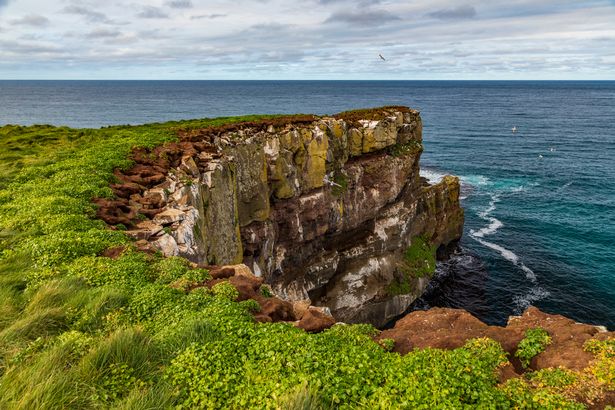 grimsey