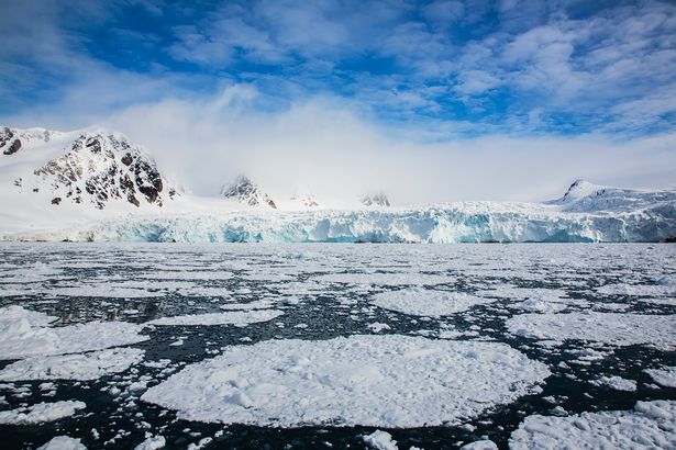 قطع الجليد المجمدة في المناظر الطبيعية في القطب الشمالي ، Spitsbergen