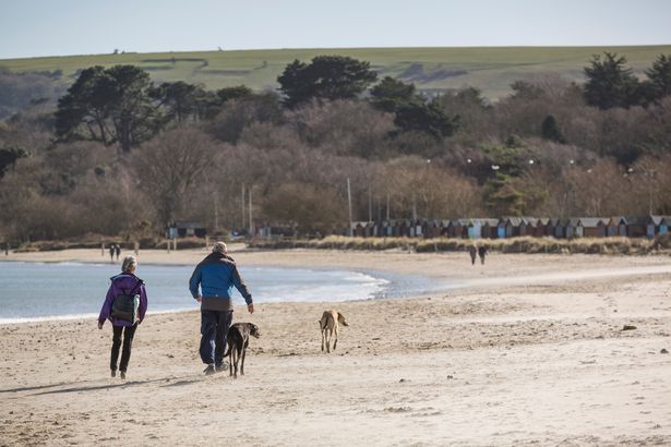Studland Bay ، دورست