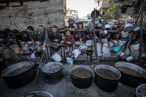 يتضور الأطفال الفلسطينيين الذين يتضورون جوعًا يائسة لتناول وجبة في نقطة مساعدة للأغذية الخيرية في مدينة غزة