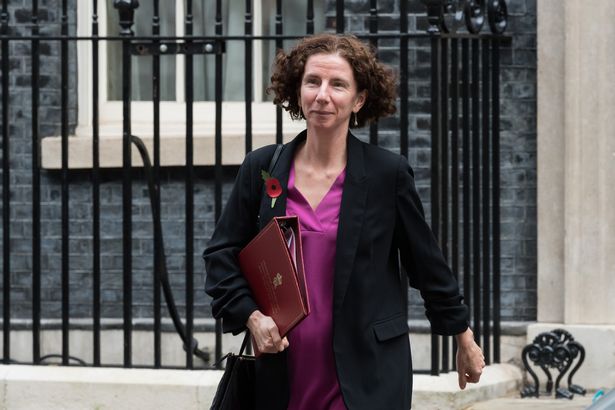 وقالت Anneliese Dodds ، وهي مستشارة سابقة في ظل العمل ، إن وزارة الخزانة يجب أن تنظر في أدلة حول ضريبة الثروة