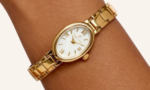 Abbott Lyon Watch