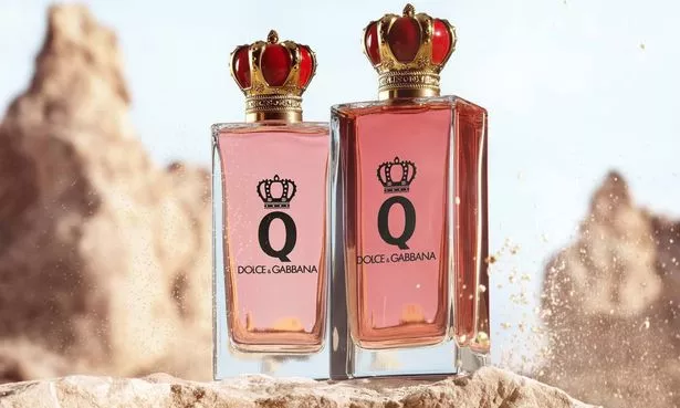 Dolce & Gabbana Q بواسطة DG