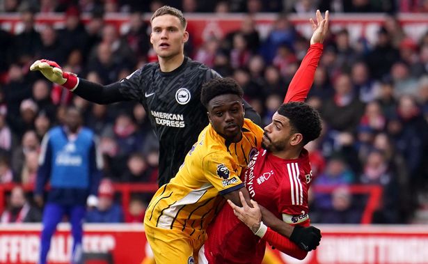 طارق لامبتي يتصارع مع Morgan Gibbs-White في منطقة الجزاء