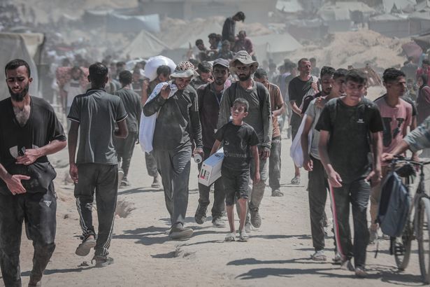 يجهى الفلسطينيون الذين يتضورون جوعًا يائسة على كل شيء على الطعام