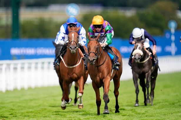حار مارج: تهدف إلى أن يصبح فائزًا عمره عامين في Nunthorpe Stakes