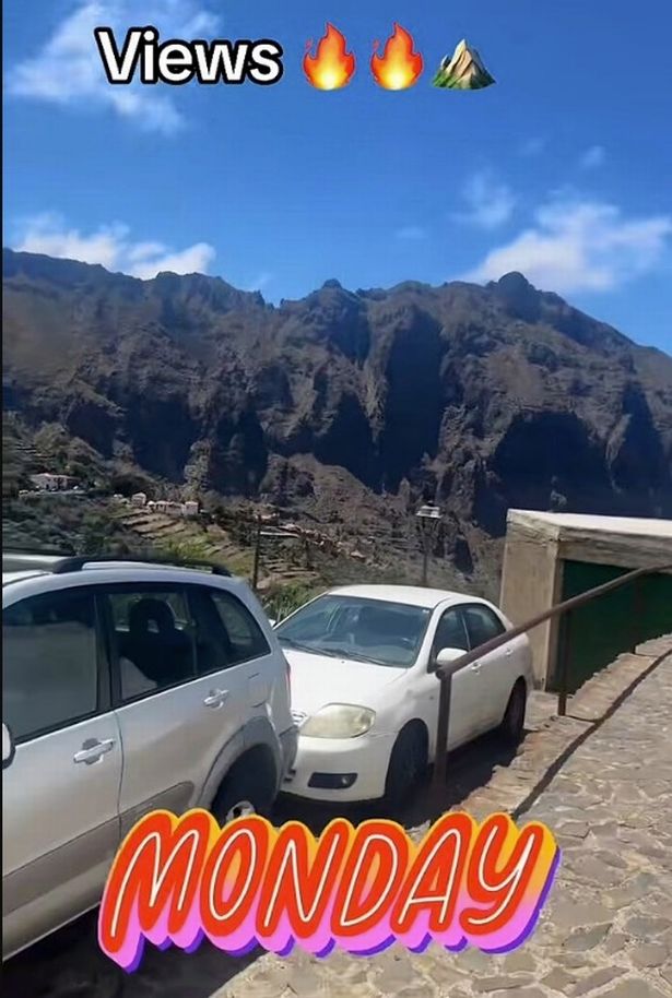 تم نشر الفيديو لمدة تسع ثوان على وسائل التواصل الاجتماعي
