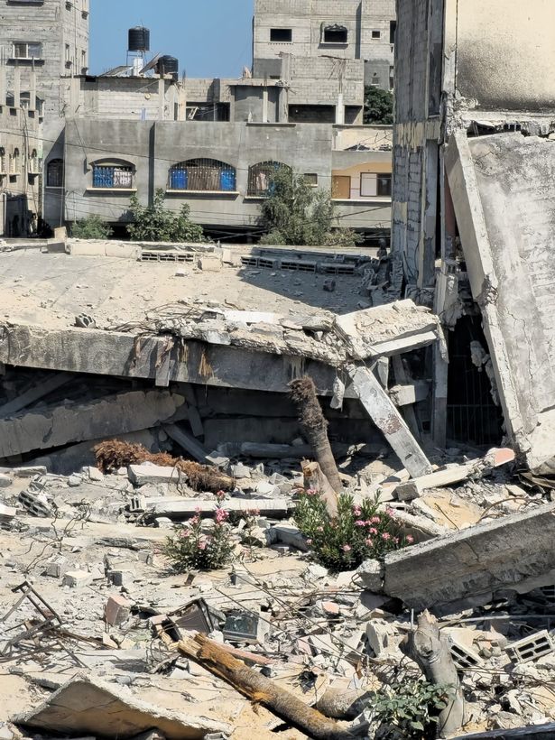 المنظر من نافذة سها في العمل