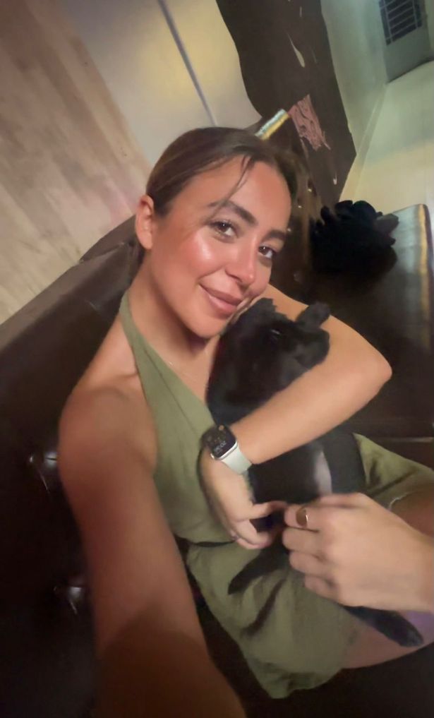 Alysha Pyrgotis ، Petting Stray Cats في إندونيسيا